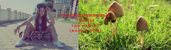 дурь Белокуриха