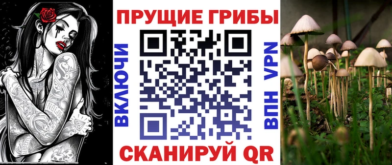 Псилоцибиновые грибы мухоморы  блэк спрут ONION  Сланцы  купить наркотик 